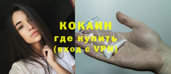молекула духа Няндома