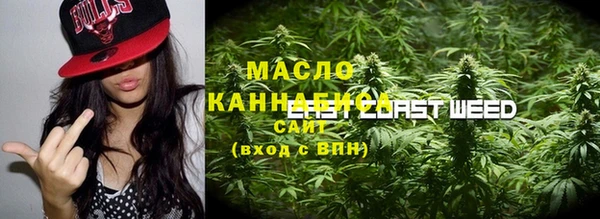 молекула духа Няндома