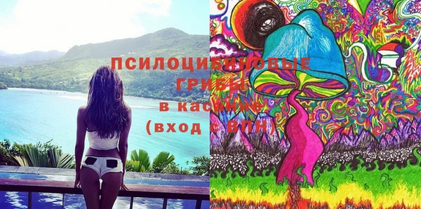молекула духа Няндома