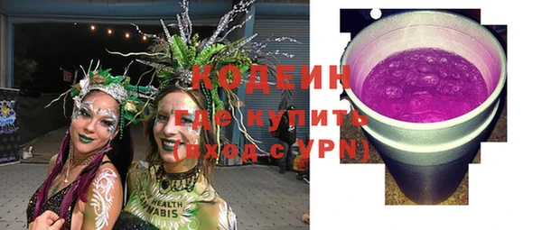 молекула духа Няндома