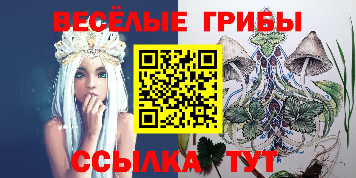 Псилоцибиновые грибы Psilocybe Ханты-Мансийск